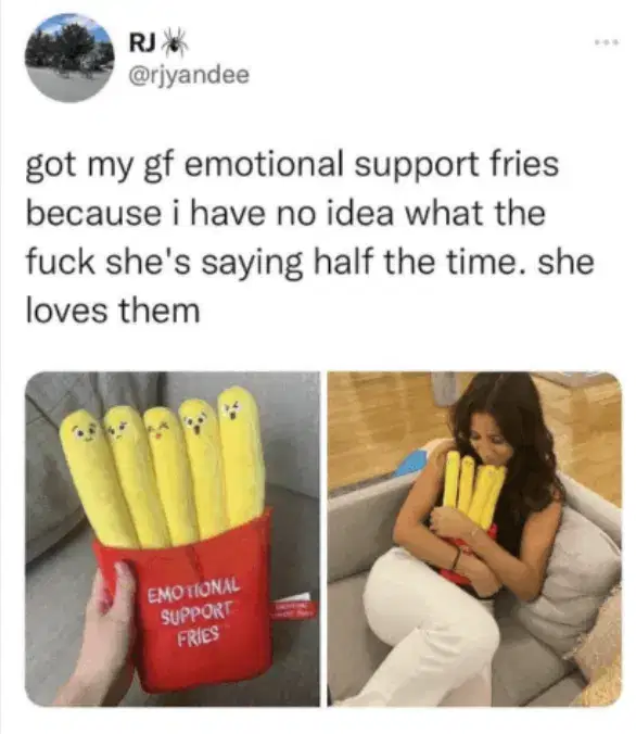 Emotional Support Fries meme ad