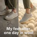 Allbirds ad and meme examples