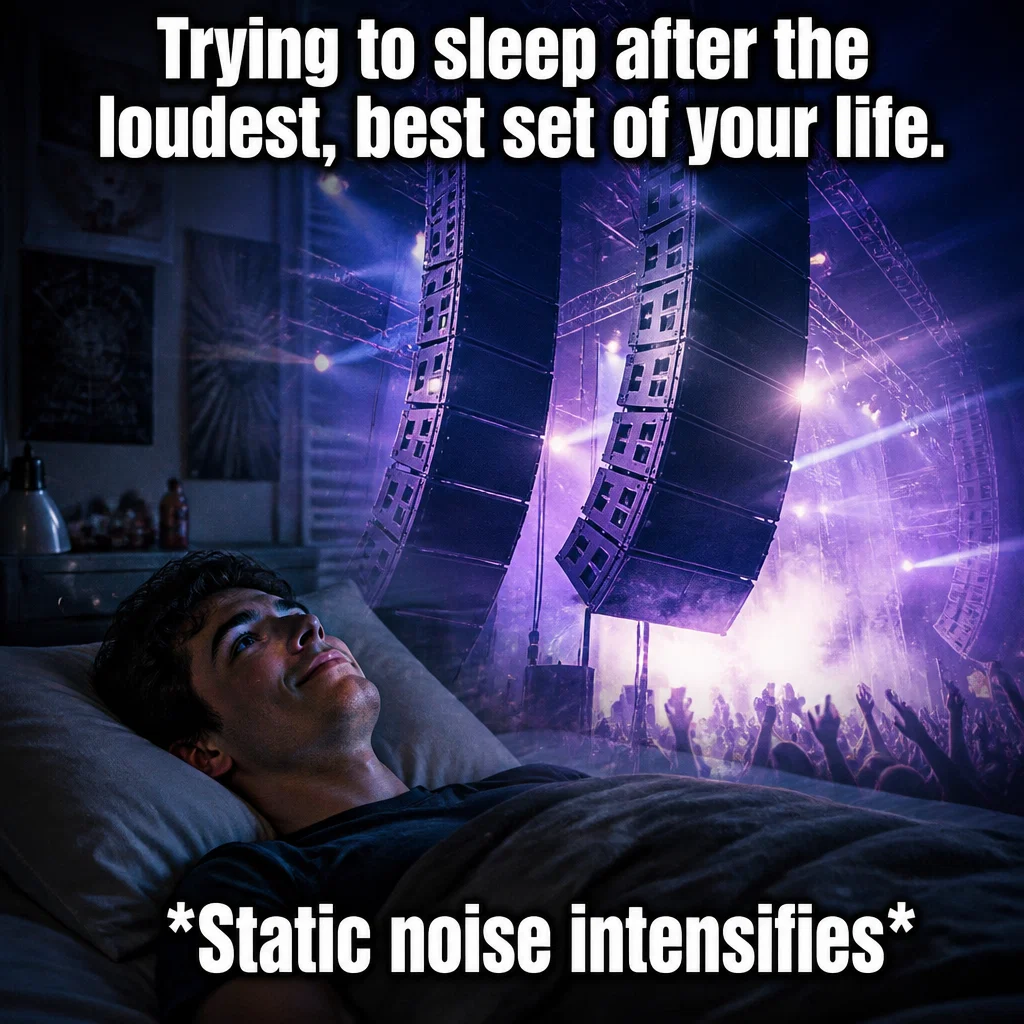 Concert Venue meme ad example: Post-Show Tinnitus