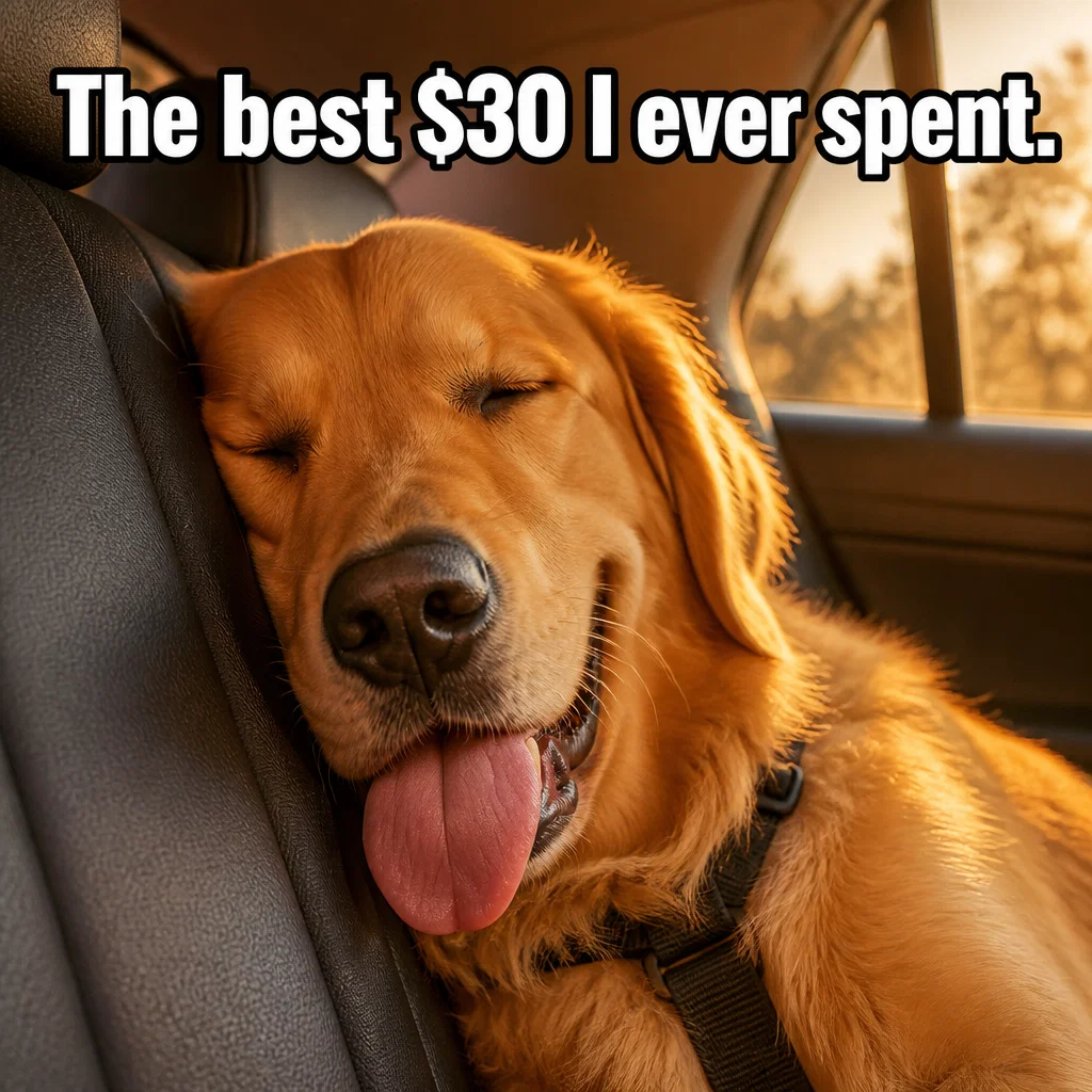 Dog Daycare meme ad example: The Car Ride Home