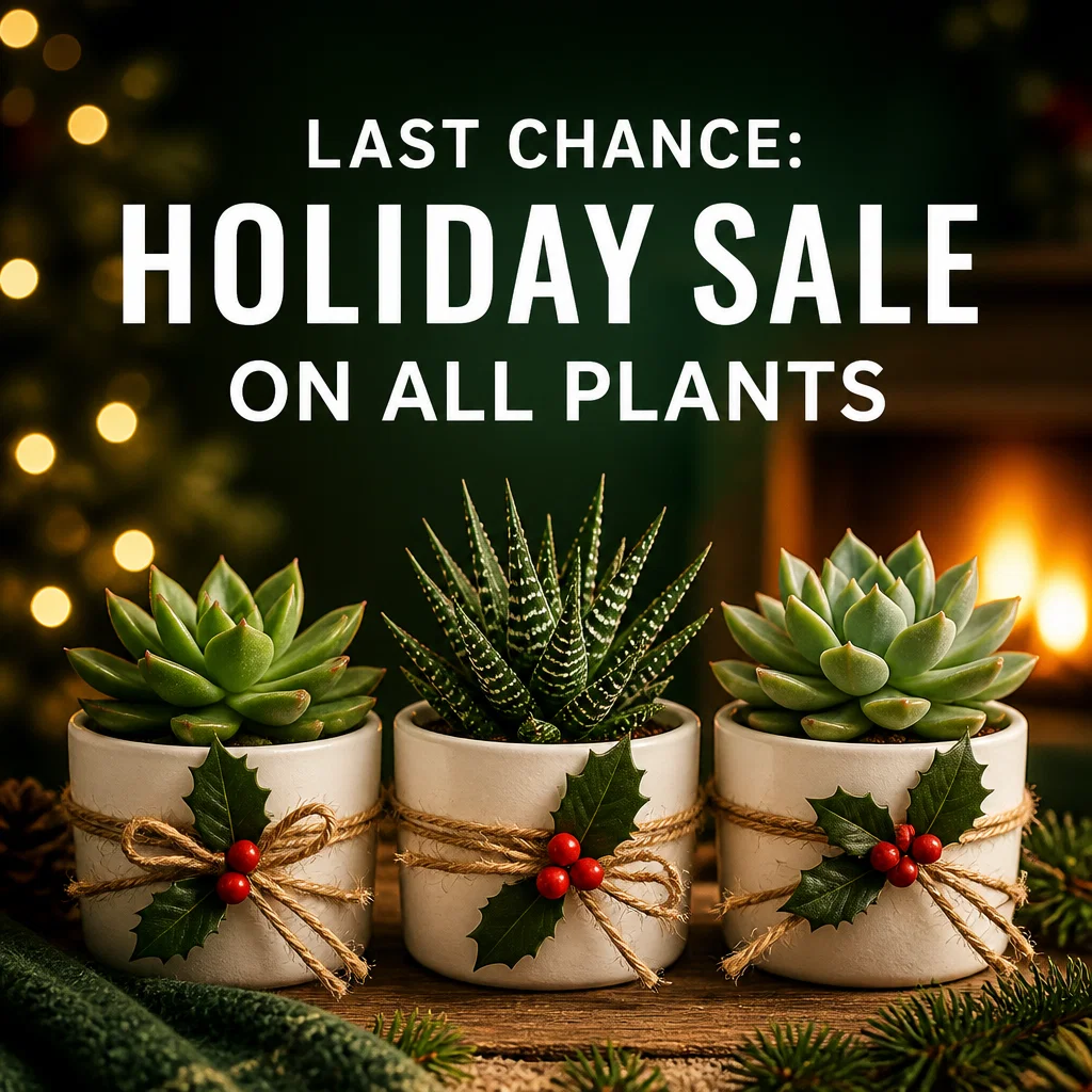 Holiday Sale ad concept example: Gifts That Grow