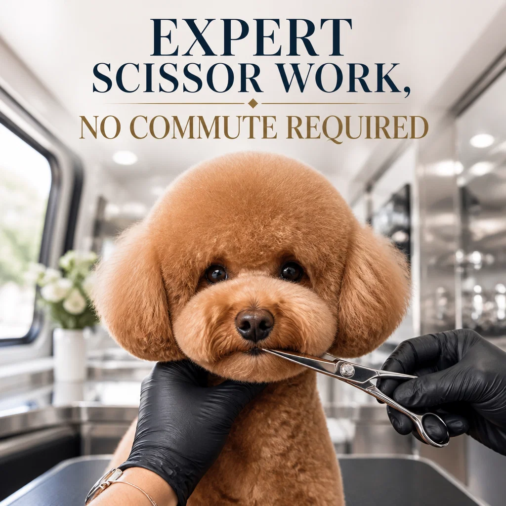 Mobile Pet Grooming ad concept example: Precision Work