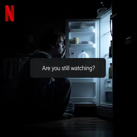 Netflix meme ad example: The 3AM Reality Check