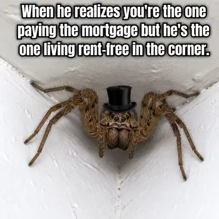 Pest Control meme ad example: The Freelance Tenant