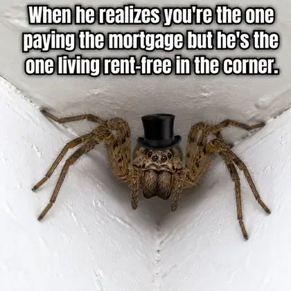 Pest Control meme ad example: The Freelance Tenant