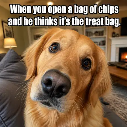 Pet Store meme ad example: The Treat Radar