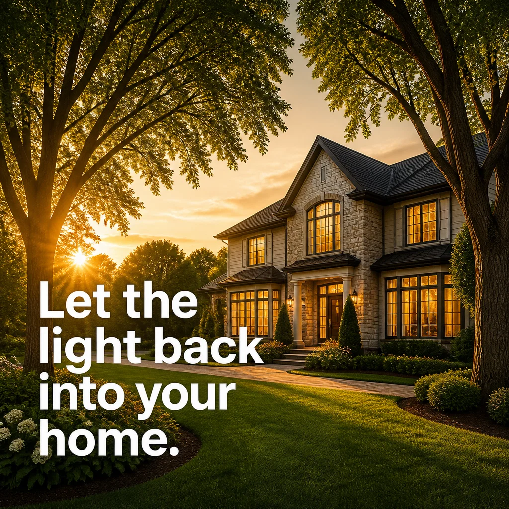 Tree Service ad concept example: The Golden Hour Prune