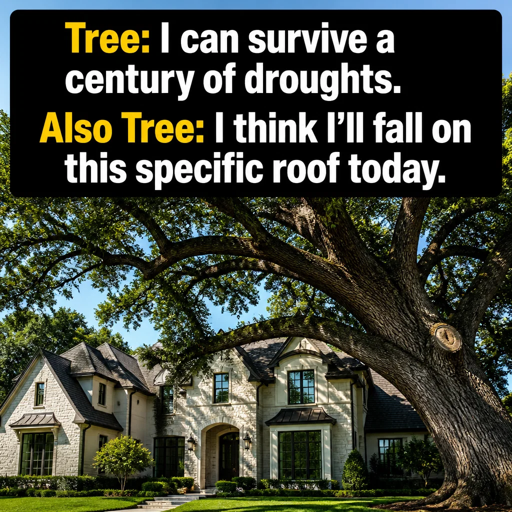 Tree Service meme ad example: Tree Logic