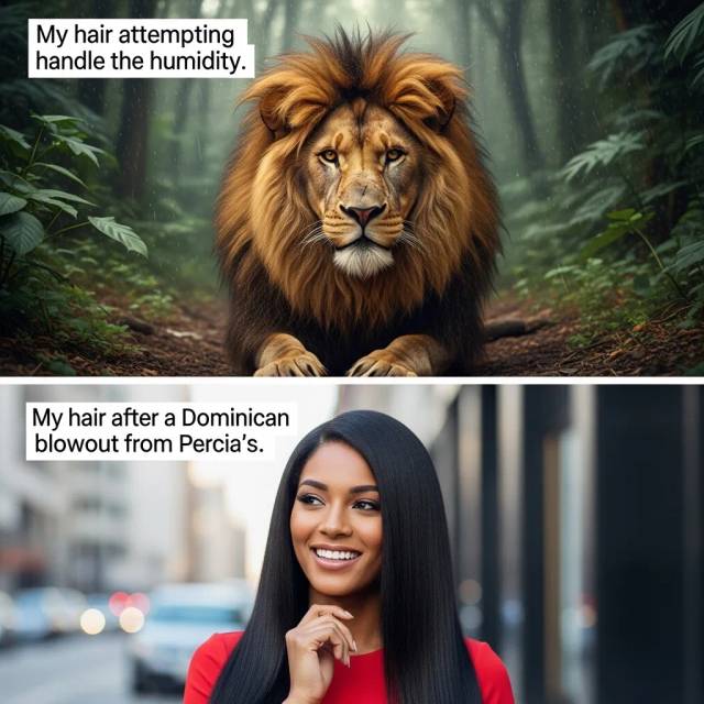 Meme 19